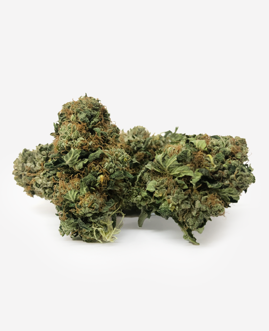 Pure Bulk - Cannabis Blüten